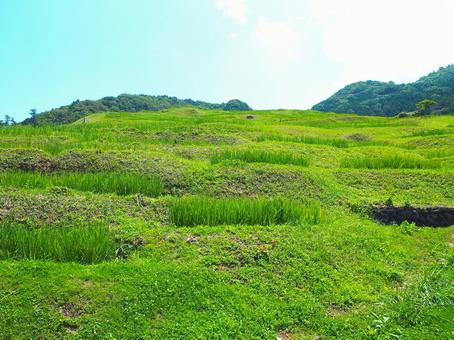 白米千枚田の棚田 白米千枚田の棚田 棚田,能登半島,地震の写真素材