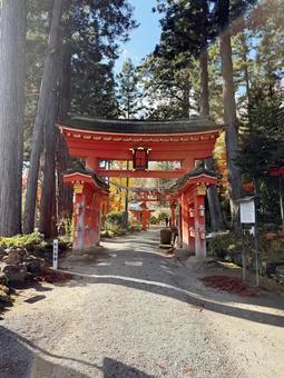 25_1119_毘沙門堂_鳥居01 岩手県,平泉,神社の写真素材