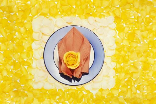 Photo, tableware, napkin, party, 