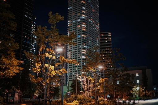 夜の新宿タワーマンション 夜の新宿タワーマンション 夜景,高層ビル,タワーマンションの写真素材