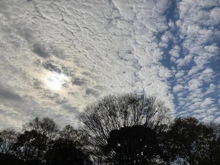 雲が多めの空と自然の風景 雲が多めの空と自然の風景の写真