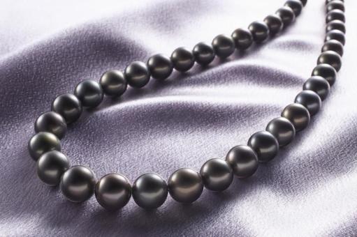 黒蝶パールネックレス パール,ネックレス,黒蝶の写真素材