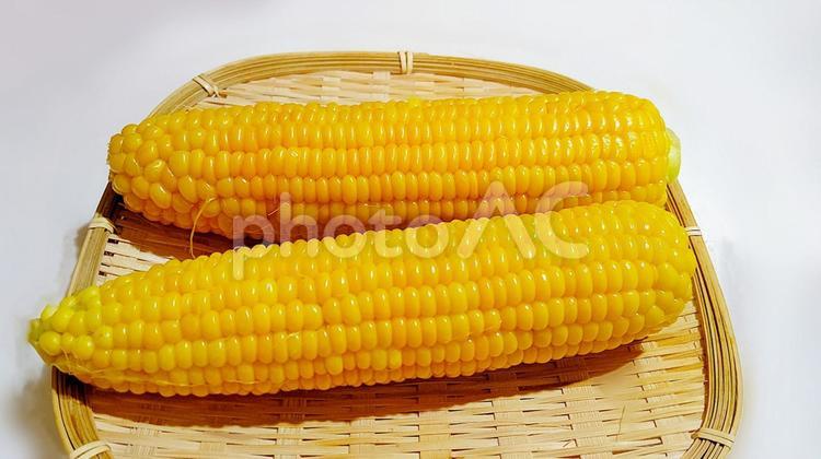 ザル入り茹でとうもろこし中央 とうもろこし,野菜,ザルの写真素材