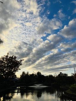 夕方の池の写真