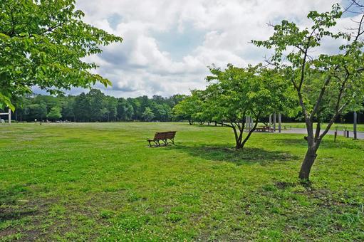 公園 公園の写真