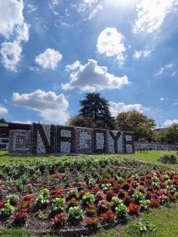 名古屋東山動物園 名古屋,ナゴヤ,太陽の写真素材