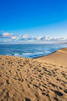 鳥取県　鳥取砂丘の風景 鳥取砂丘,日本の風景,自然の写真素材