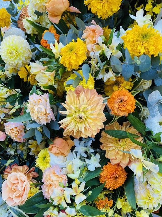 オレンジと黄色い花 花,花束,オレンジの写真素材