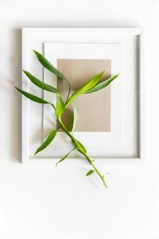 ベージュの紙の入った白いフレームと植物 ベージュの紙の入った白いフレームと植物 モックアップ,物撮り,フレームの写真素材