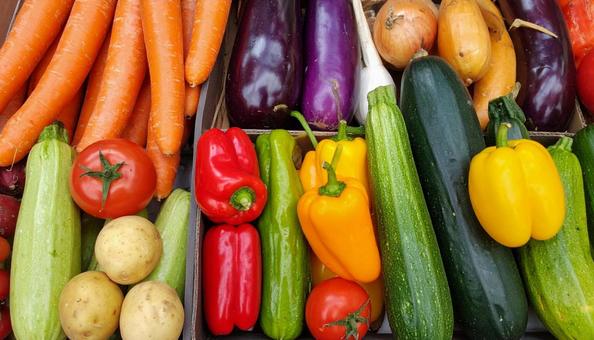 カラフルな緑黄色野菜 カラフルな緑黄色野菜の写真