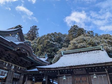 金刀比羅宮 雪化粧 金刀比羅宮 雪化粧 金刀比羅宮,shrine,snowの写真素材