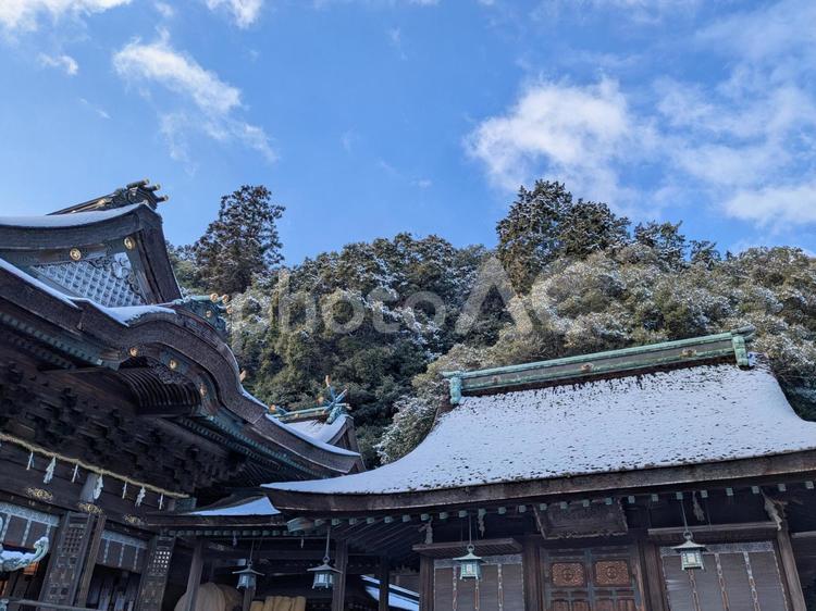 金刀比羅宮　雪化粧 金刀比羅宮,shrine,snowの写真素材