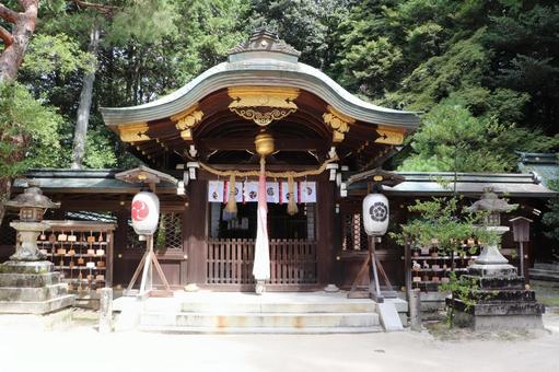 八大神社 本殿 八大神社 本殿 八大神社,本殿,はちだいじんじゃの写真素材