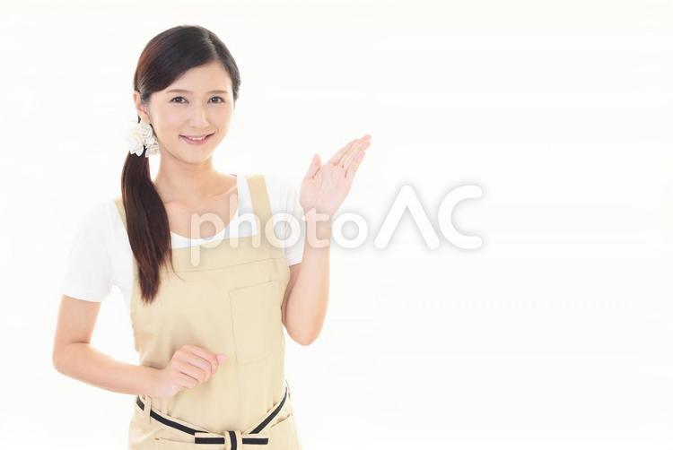 案内するエプロン姿の女性 女性,主婦,エプロンの写真素材