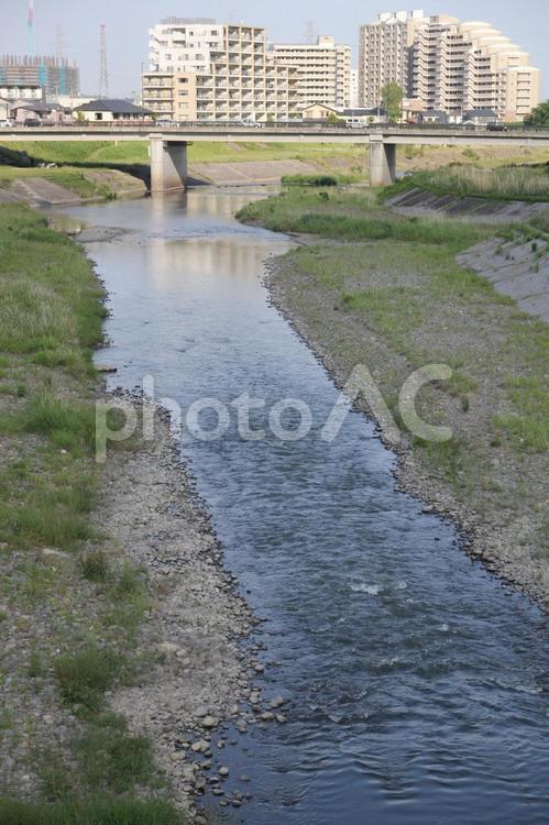 住宅街を流れる川　七北田川 七北田川,住宅街,川の写真素材