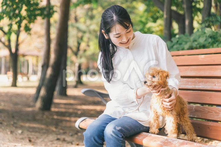 公園で犬と遊ぶ女性 犬,ペット,散歩の写真素材