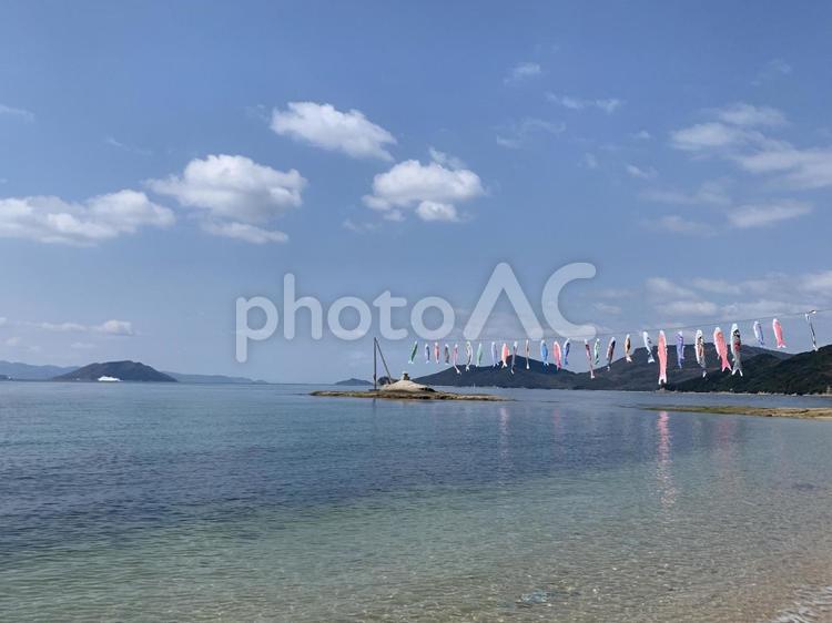 戸形崎の鯉のぼりと海 海,空,エメラルドの写真素材