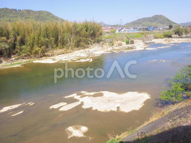 水位が低い河川と竹林 川,河川,竹林の写真素材