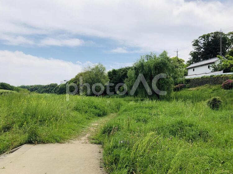白い建物のある風景 風景,自然,草の写真素材