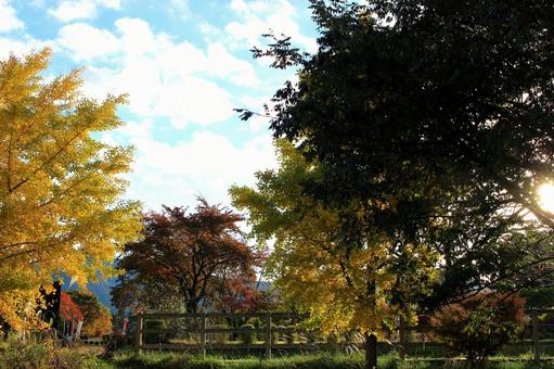 秋の河口湖周辺 河口湖周辺,河口湖,湖の写真素材