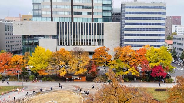 大通公園を彩る札幌の紅葉とビル群 札幌,大通公園,北海道の写真素材