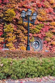 北海道　札幌ファクトリーの秋の風景 北海道,札幌,札幌市の写真素材