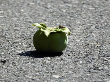 道路に落ちた柿の実 道路に落ちた柿の実の写真