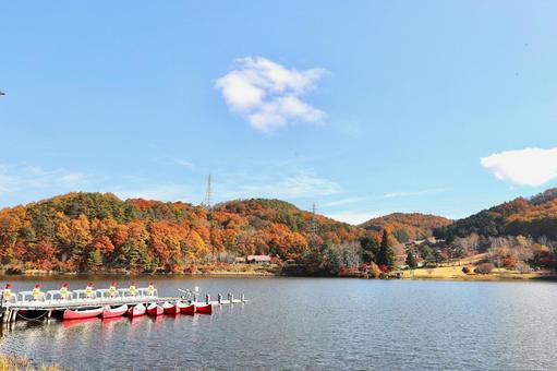 紅葉　長野県　聖湖 紅葉,湖,長野県の写真素材
