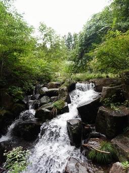 緑に囲まれた小さな滝 緑に囲まれた小さな滝 滝,清流,自然の写真素材