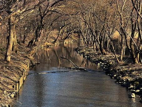 冬枯れの川 冬枯れの川 冬枯れ,川,種川の写真素材