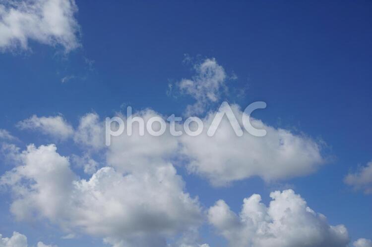 青い空と雲 空,雲,青いの写真素材