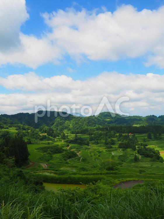 日本の田園風景 棚田,日本,田の写真素材