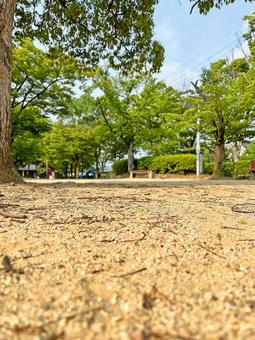 公園ローアングル 公園ローアングルの写真