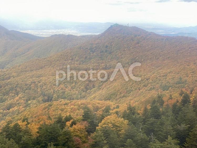 10月の蔵王　ロープウェイからの眺め 蔵王,秋,紅葉の写真素材