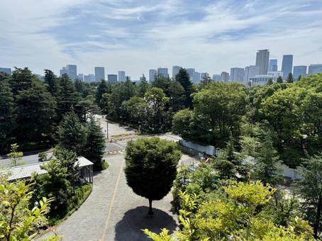 上から見た東京　新宿区の摩天楼 東京,摩天楼,ビル街の写真素材
