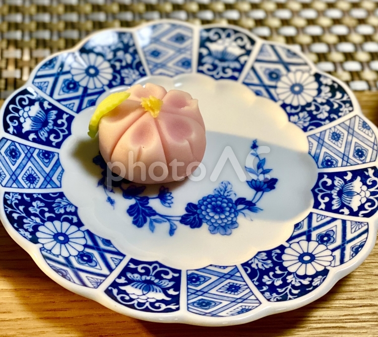桜の練り切り 和菓子,練り切り,桜の写真素材