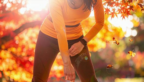 スポーツの秋 紅葉の中でストレッチ 女性 スポーツの秋 紅葉の中でストレッチ 女性の写真