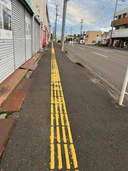 点字ブロックの歩道 点字ブロックの歩道 歩道,点字ブロック,誘導路の写真素材