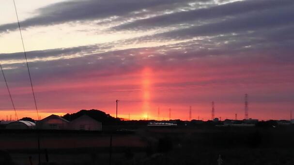 こんなの初めて見ましたの写真