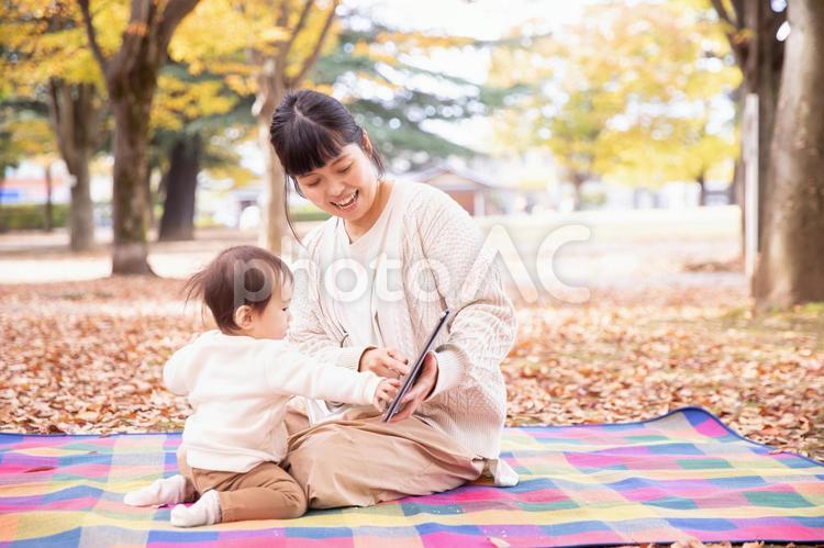 秋の公園でママとタブレットPCで遊ぶ赤ちゃん ピクニック,アウトドア,動画の写真素材