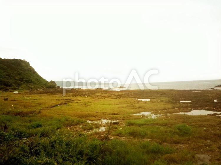 ノスタルジックな野原と海の風景 野原,海,ノスタルジックの写真素材