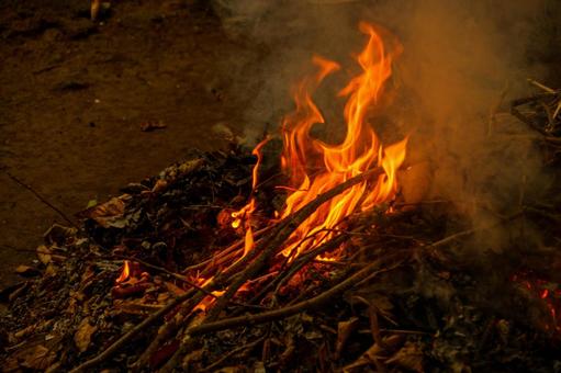 落ち葉と枯れ枝の焚き火で燃える炎 火,炎,燃えるの写真素材