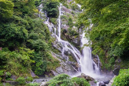 佐賀-【見返りの滝とあじさい】 佐賀-【見返りの滝とあじさい】 佐賀,唐津市,見返りの滝の写真素材