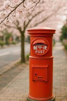 桜と赤いポストの写真