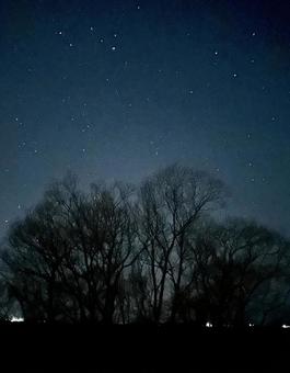 星降る夜に 空,夜空,夜の写真素材