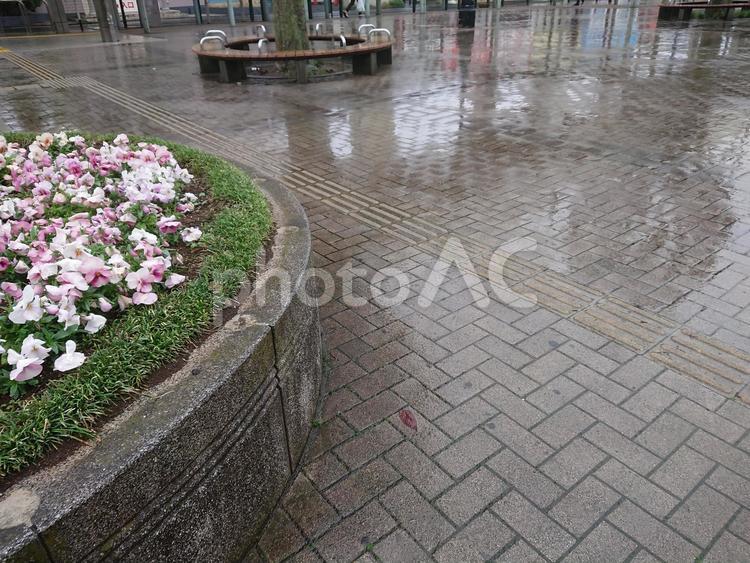 雨の日の午後 雨,道路,駅前広場の写真素材