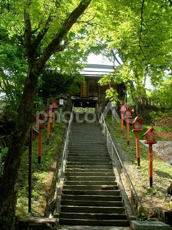 旧碓氷峠熊野皇大神社の夏 長野県,軽井沢,旧碓氷峠の写真素材