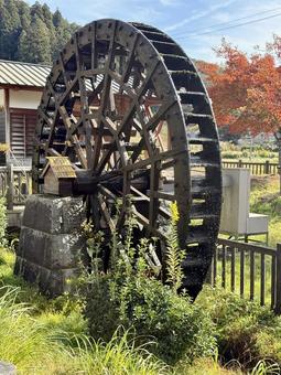 11月　秋の竹田水車メロディーパーク 竹田水車メロディーパーク,自然,水車の写真素材