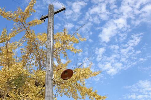 古い木製の電柱と街路灯 電柱,木製,レトロの写真素材
