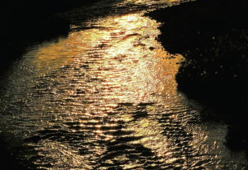 川に朝日の光 川に朝日の光の写真